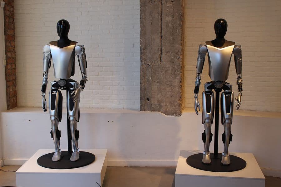 Two Tesla Optimus humanoid robots on display stands